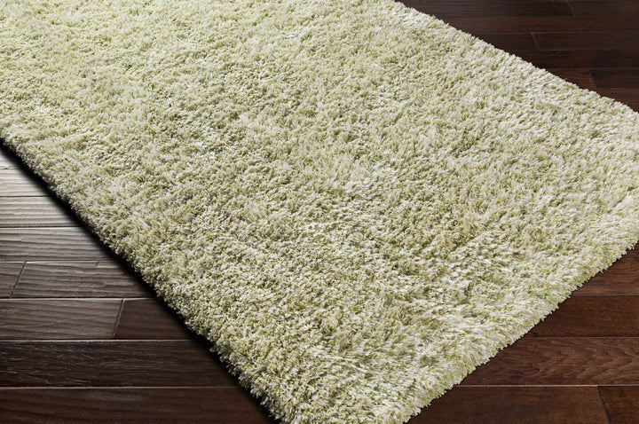 Tabiauan Green Modern Solid Design Hand Woven Area Rug