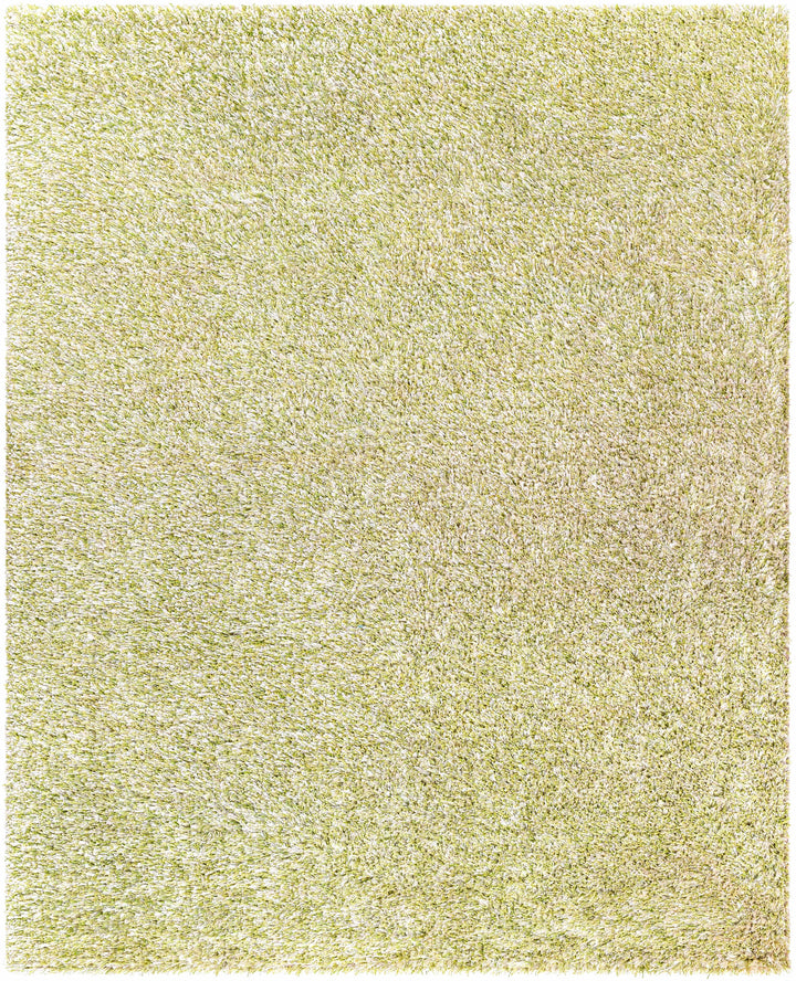 Tabiauan Green Modern Solid Design Hand Woven Area Rug