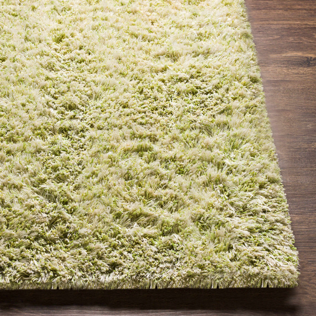 Tabiauan Green Modern Solid Design Hand Woven Area Rug
