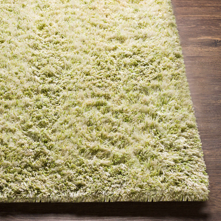 Tabiauan Green Modern Solid Design Hand Woven Area Rug