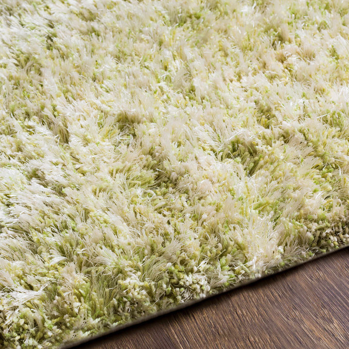 Tabiauan Green Modern Solid Design Hand Woven Area Rug