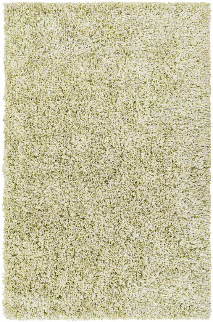 Tabiauan Green Modern Solid Design Hand Woven Area Rug - The Rug Decor