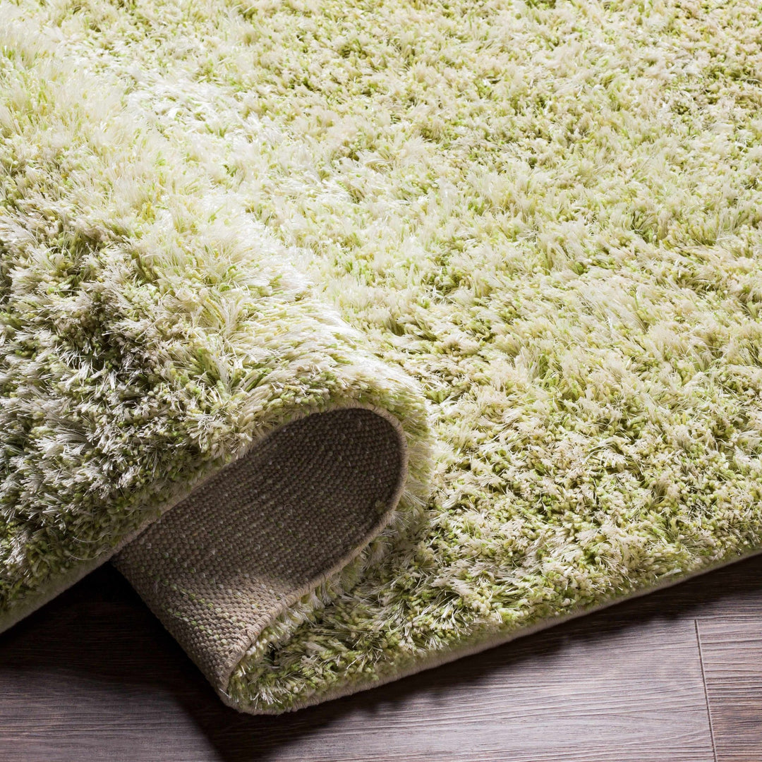 Tabiauan Green Modern Solid Design Hand Woven Area Rug - The Rug Decor