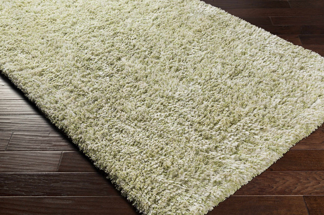 Tabiauan Green Modern Solid Design Hand Woven Area Rug - The Rug Decor