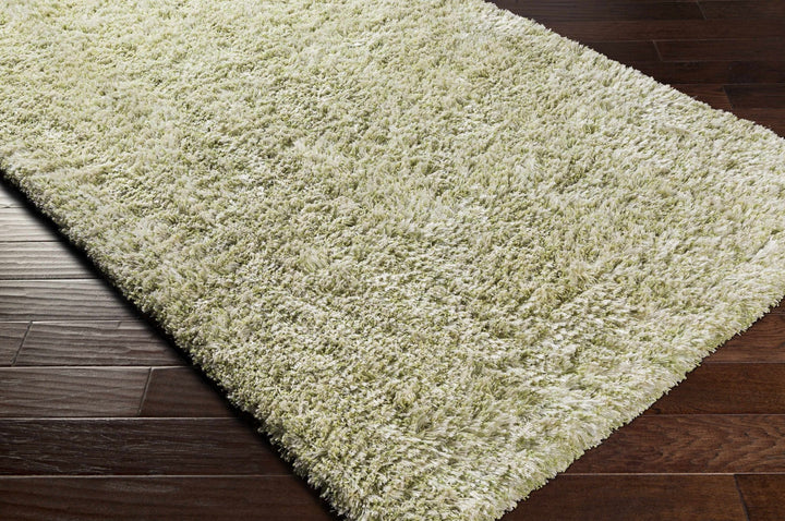 Tabiauan Green Modern Solid Design Hand Woven Area Rug - The Rug Decor