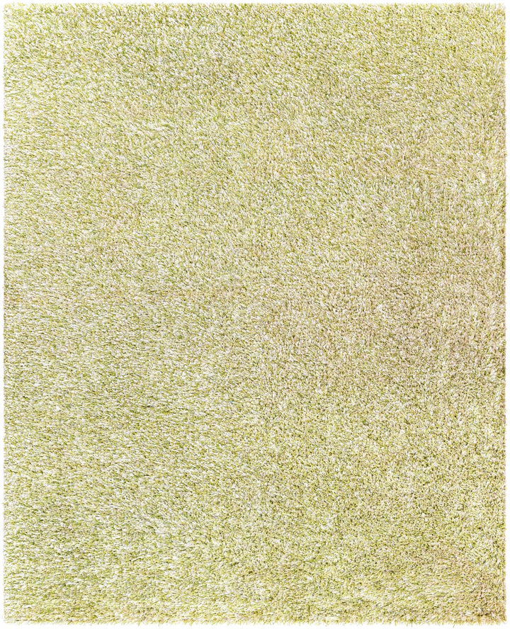 Tabiauan Green Modern Solid Design Hand Woven Area Rug - The Rug Decor