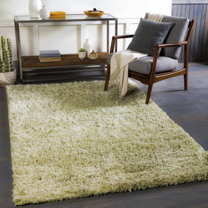 Tabiauan Green Modern Solid Design Hand Woven Area Rug - The Rug Decor