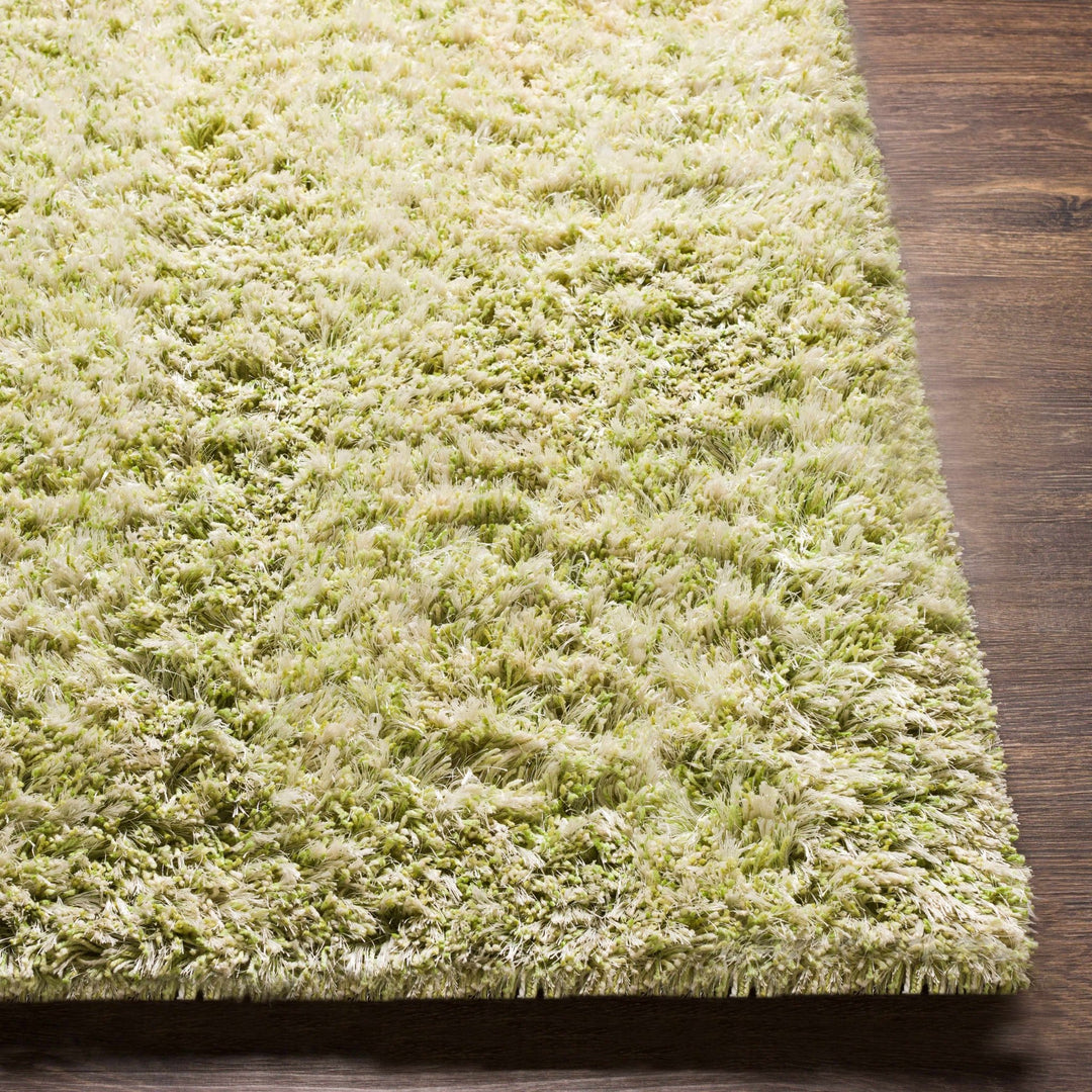 Tabiauan Green Modern Solid Design Hand Woven Area Rug - The Rug Decor