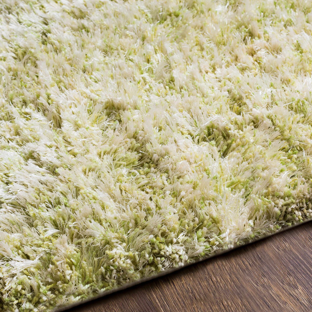 Tabiauan Green Modern Solid Design Hand Woven Area Rug - The Rug Decor