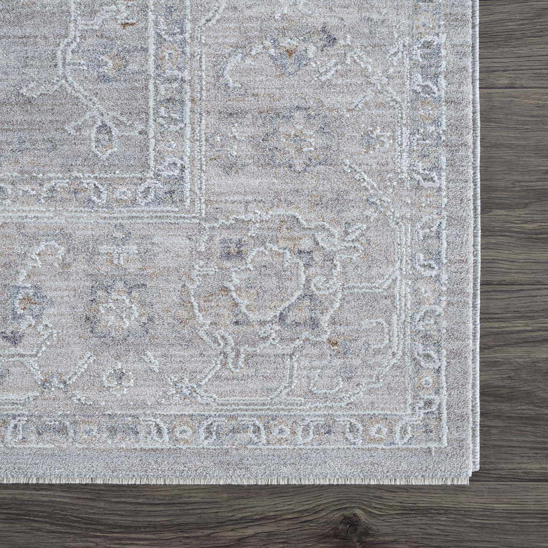 Tahmoor Traditional washed out Style Gray Rug - The Rug Decor