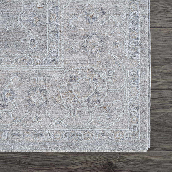 Tahmoor Traditional washed out Style Gray Rug - The Rug Decor