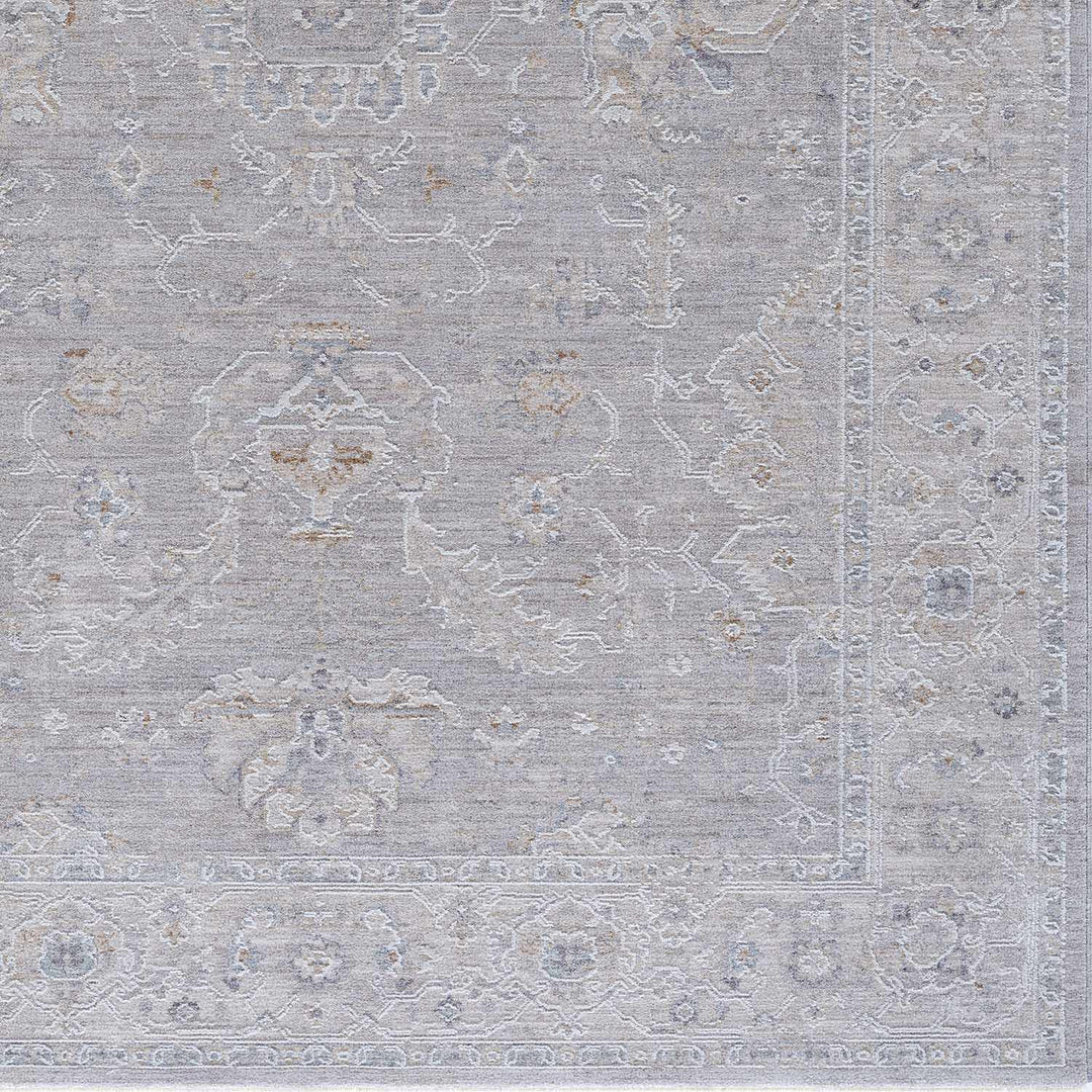Tahmoor Traditional washed out Style Gray Rug - The Rug Decor
