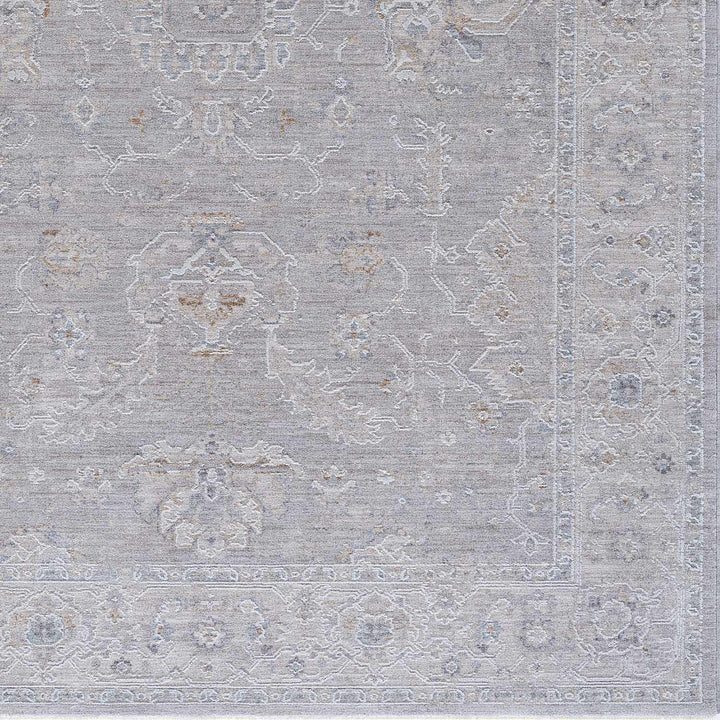 Tahmoor Traditional washed out Style Gray Rug - The Rug Decor