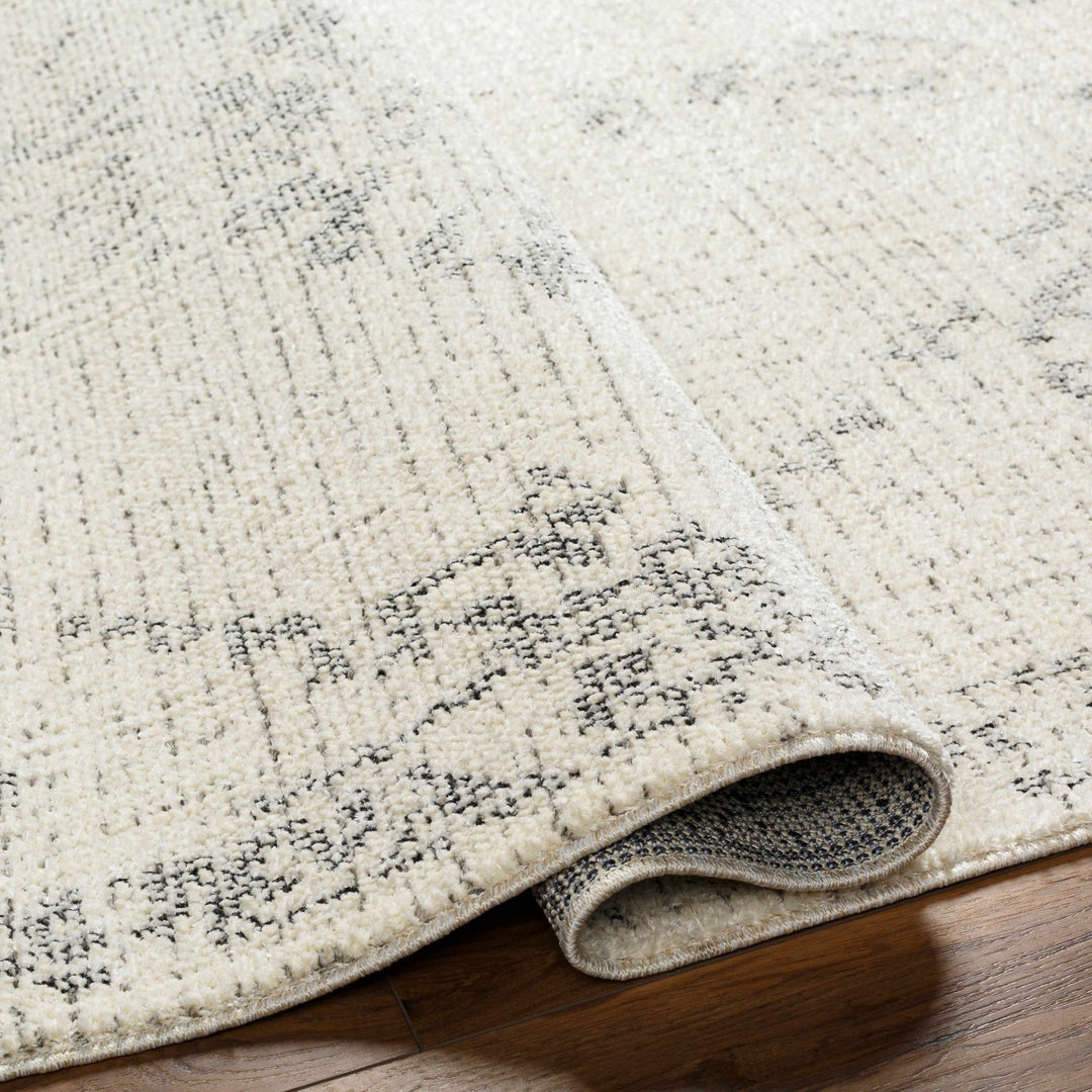Tait Contemporary Ivory And Black Area Rug - The Rug Decor