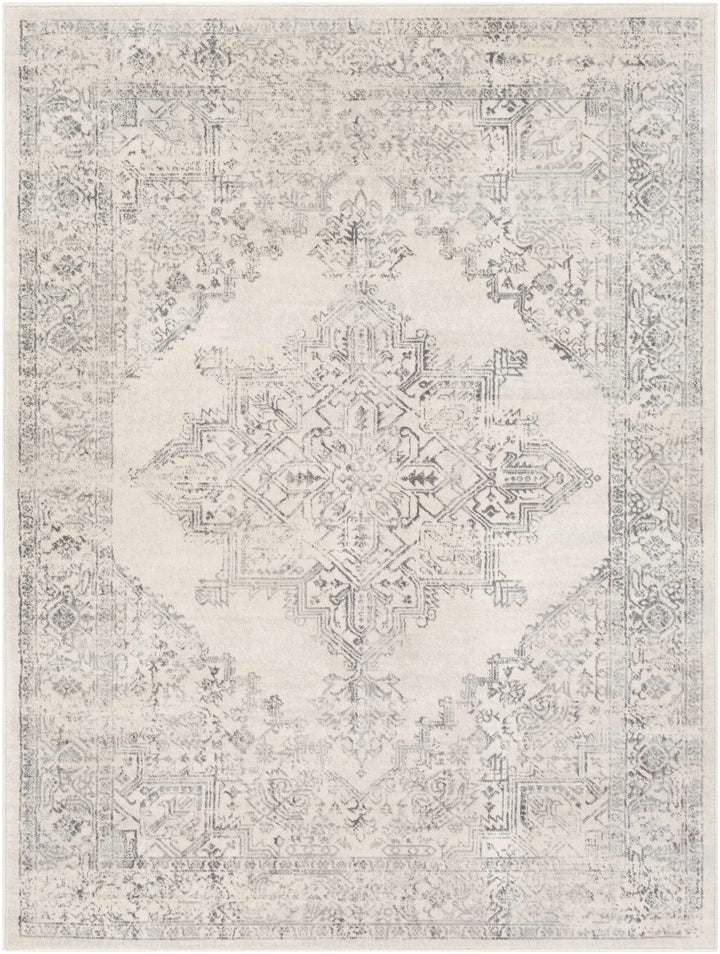 Tamarama Traditional Style Ivory And Gray Area Rug - The Rug Decor