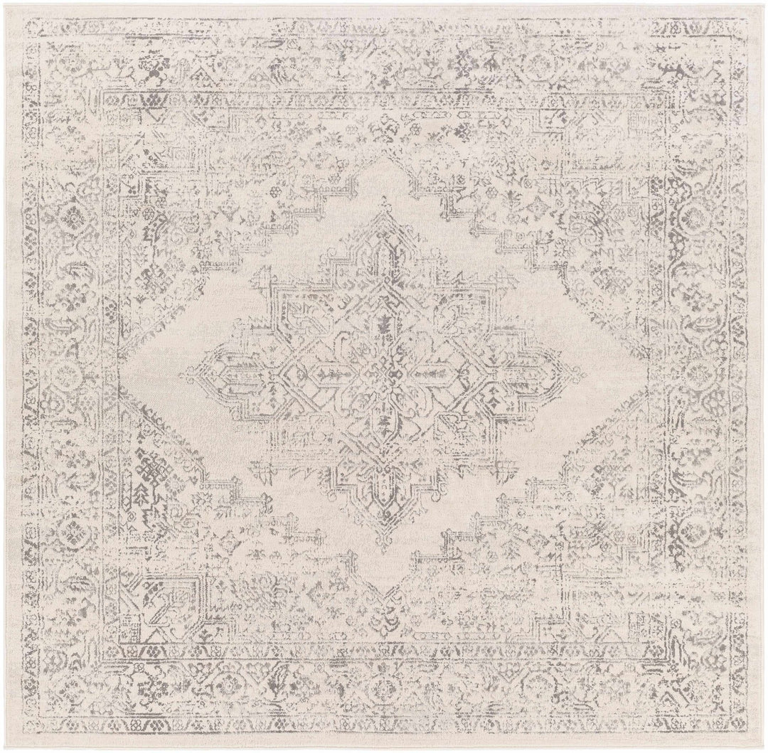 Tamarama Traditional Style Ivory And Gray Area Rug - The Rug Decor