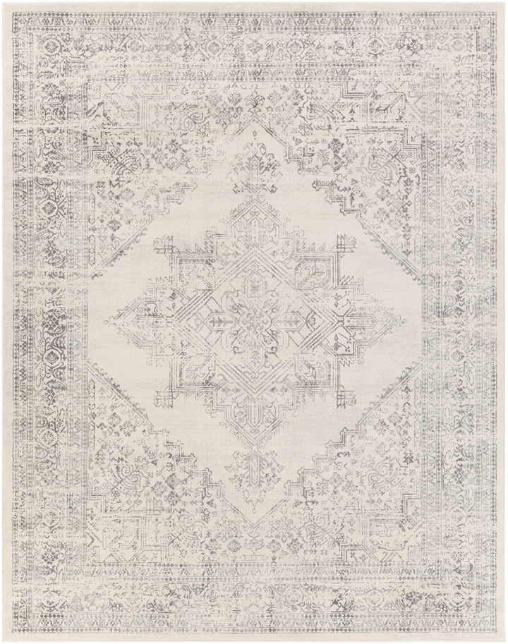 Tamarama Traditional Style Ivory And Gray Area Rug - The Rug Decor