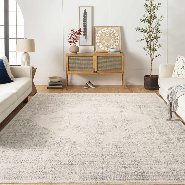 Tamarama Traditional Style Ivory And Gray Area Rug - The Rug Decor