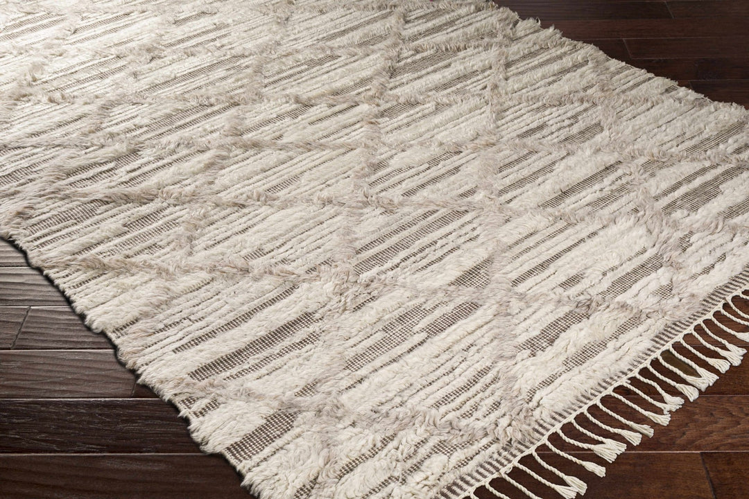 Tankerton Beige Modern Geometrical Design Hand Knotted Area Rug - The Rug Decor