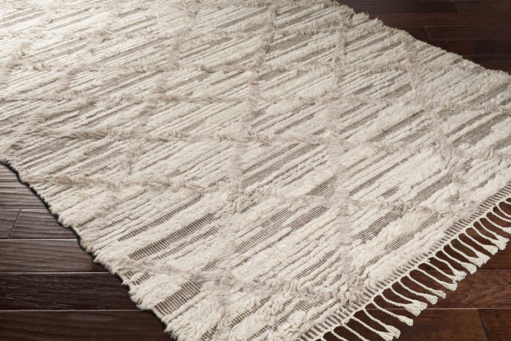 Tankerton Beige Modern Geometrical Design Hand Knotted Area Rug - The Rug Decor