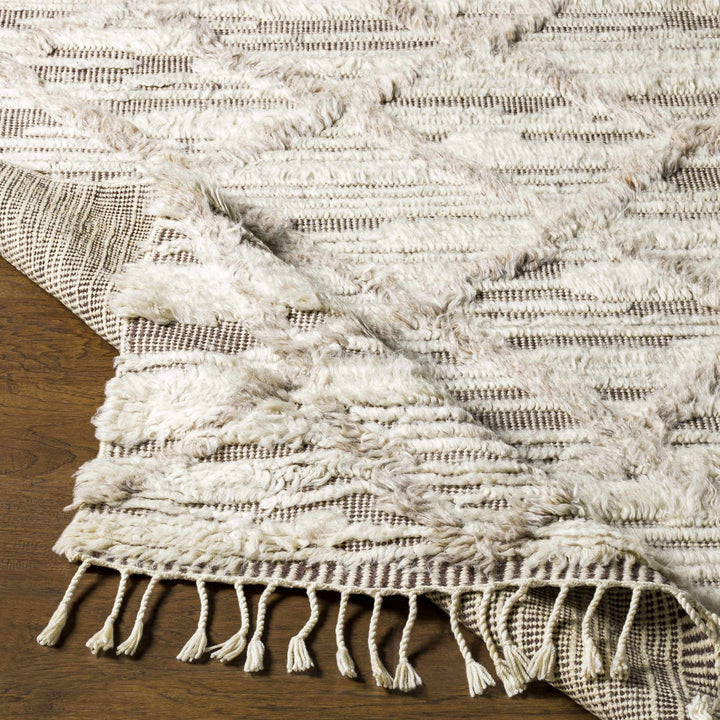 Tankerton Beige Modern Geometrical Design Hand Knotted Area Rug - The Rug Decor