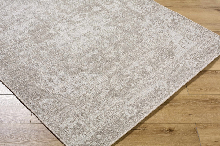 Tanko Traditional Transitional Beige Wool And Polyester Area Rug - The Rug Decor