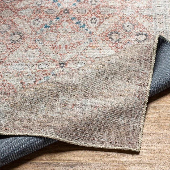 Tapia Traditional Transitional Rust And Gray Area Rug - The Rug Decor