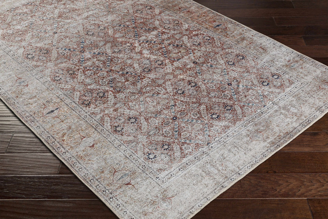 Tapia Traditional Transitional Rust And Gray Area Rug - The Rug Decor