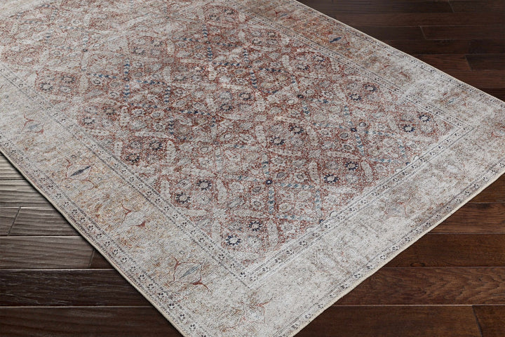 Tapia Traditional Transitional Rust And Gray Area Rug - The Rug Decor