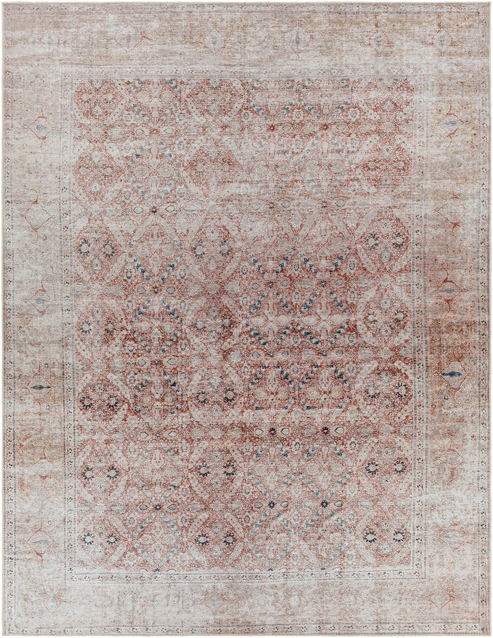 Tapia Traditional Transitional Rust And Gray Area Rug - The Rug Decor