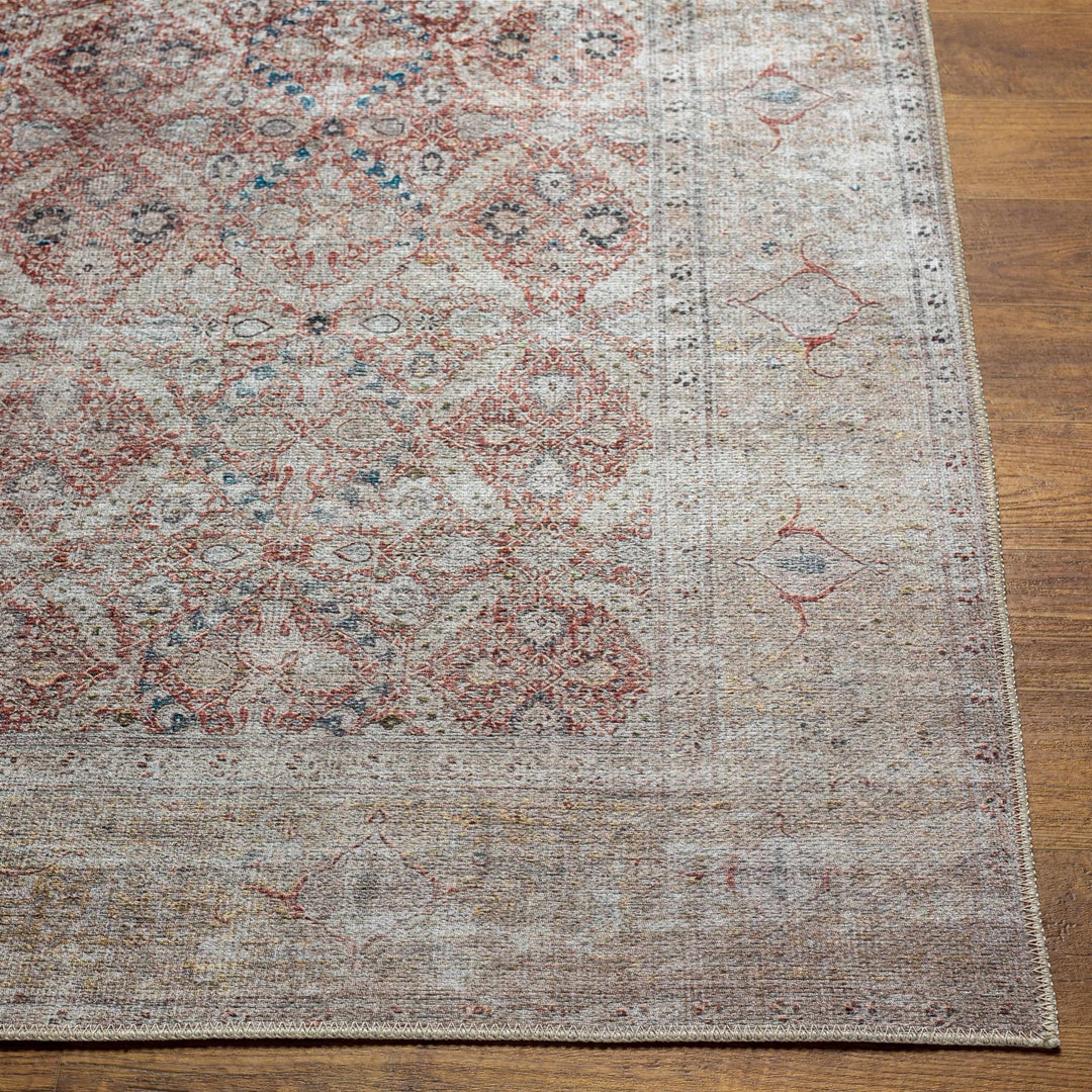 Tapia Traditional Transitional Rust And Gray Area Rug - The Rug Decor