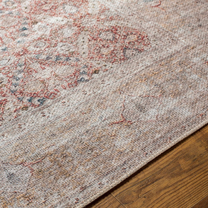 Tapia Traditional Transitional Rust And Gray Area Rug - The Rug Decor