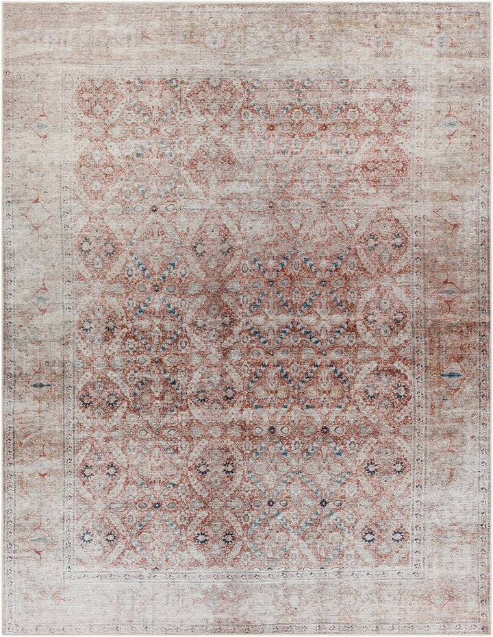 Tapia Traditional Transitional Rust And Gray Area Rug - The Rug Decor
