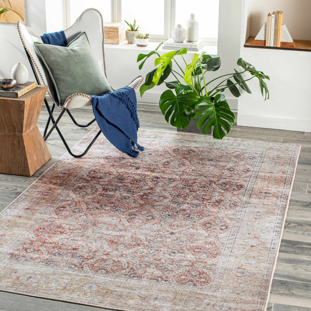 Tapia Traditional Transitional Rust And Gray Area Rug - The Rug Decor