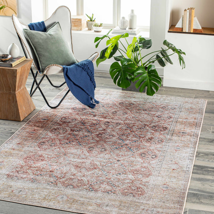 Tapia Traditional Transitional Rust And Gray Area Rug - The Rug Decor