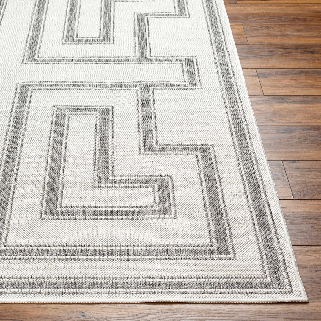 Taro Contemporary Ivory And Gray Area Rug - The Rug Decor