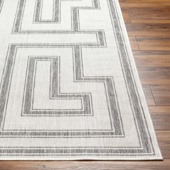 Taro Contemporary Ivory And Gray Area Rug - The Rug Decor