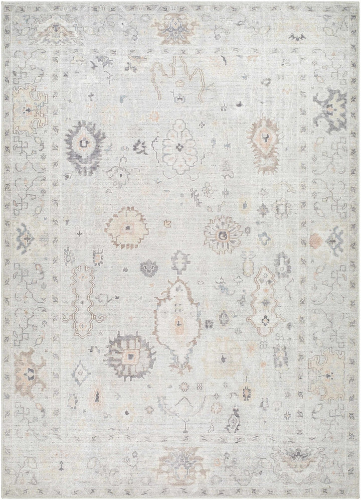 Taryn Traditional Style Ivory And Gray Area Rug - The Rug Decor
