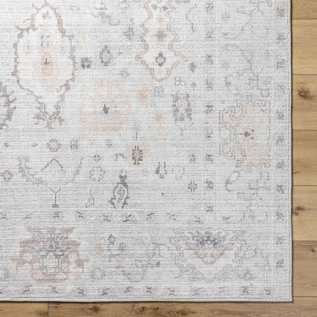 Taryn Traditional Style Ivory And Gray Area Rug - The Rug Decor