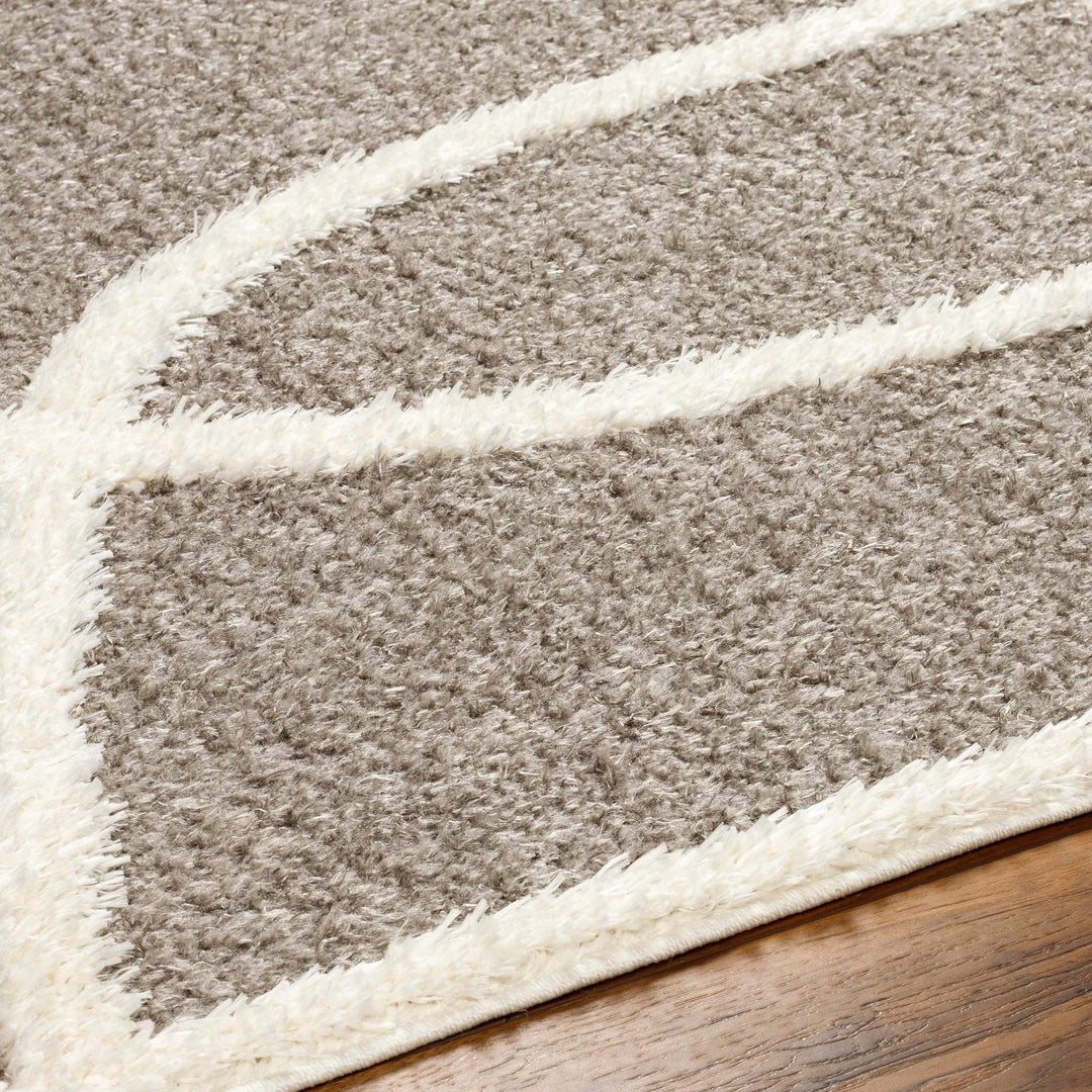 Taupe and Ivory Contemporary Design Machine Woven Plush Pile Area Rug - The Rug Decor