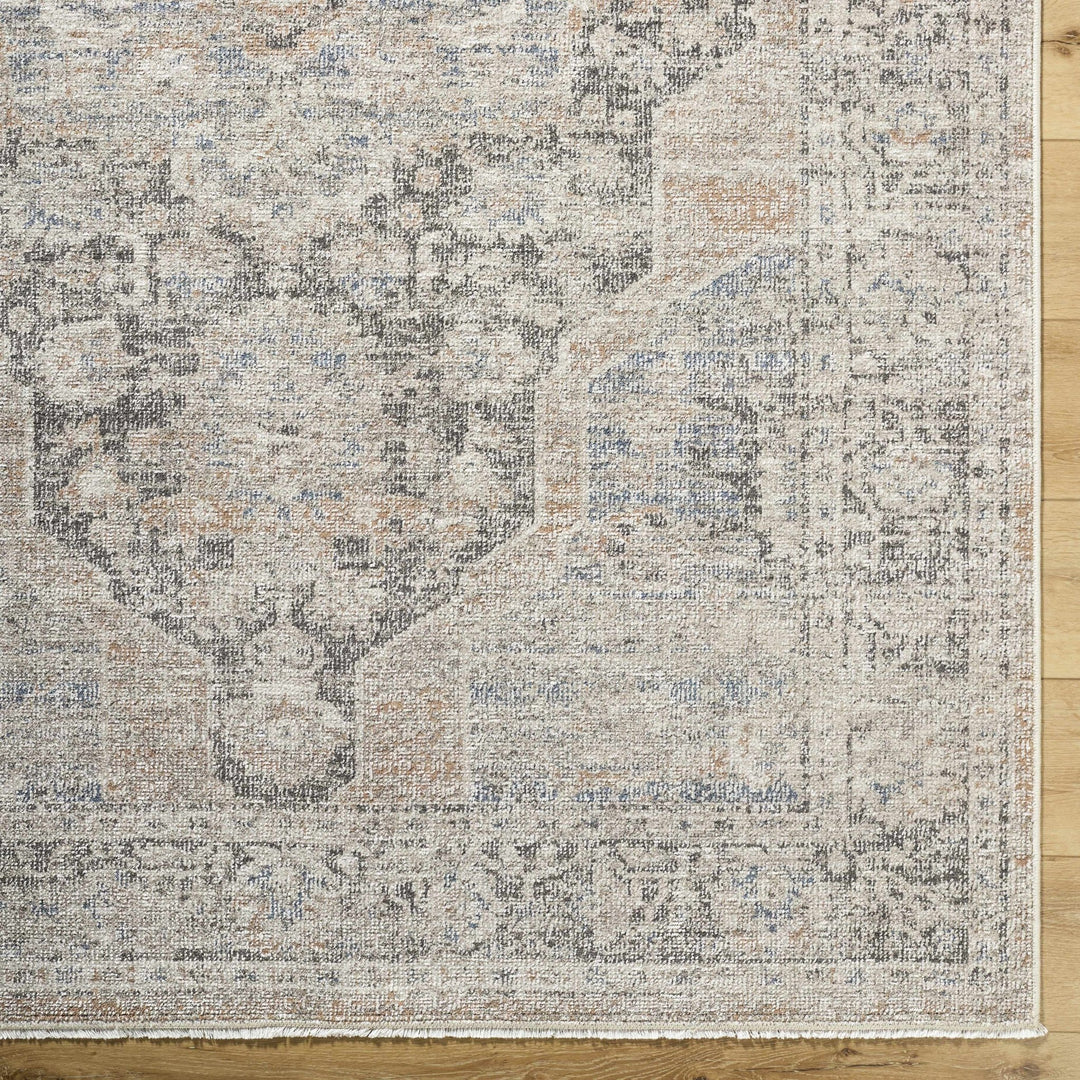 Tavon Traditional Style Beige And Gray Area Rug - The Rug Decor