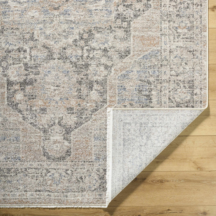 Tavon Traditional Style Beige And Gray Area Rug - The Rug Decor