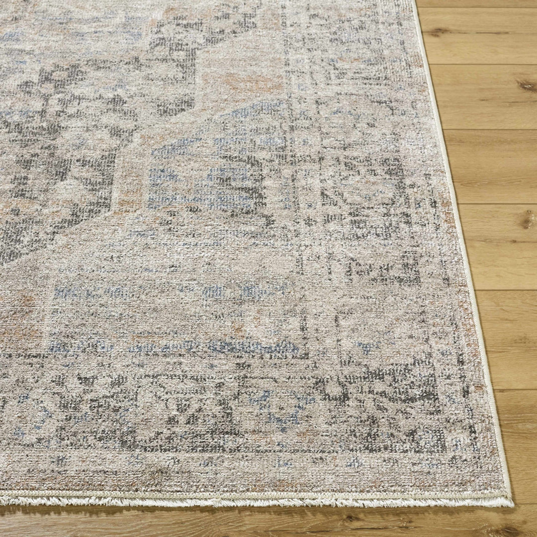 Tavon Traditional Style Beige And Gray Area Rug - The Rug Decor