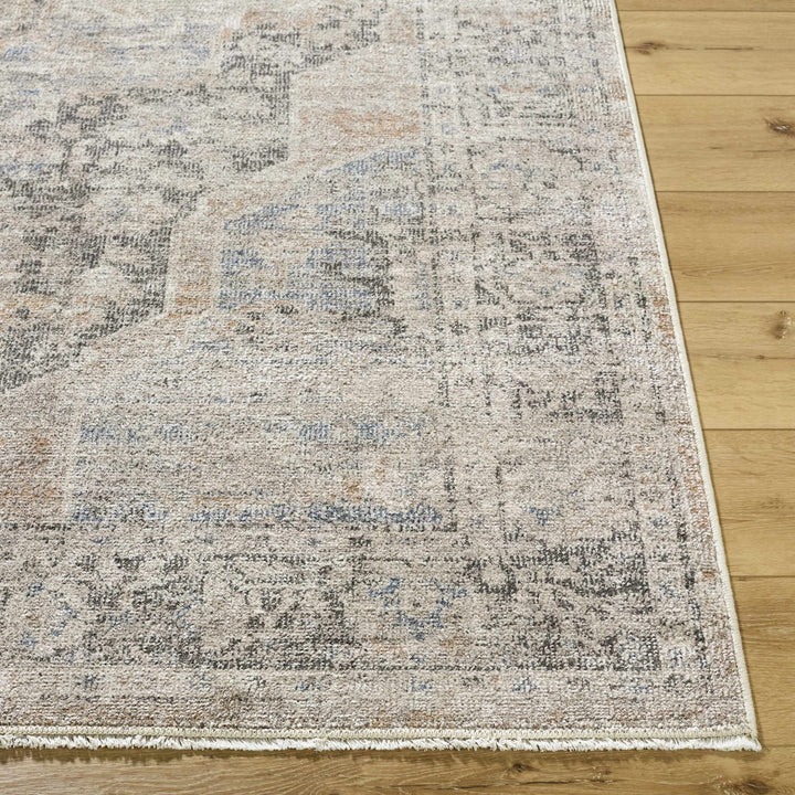Tavon Traditional Style Beige And Gray Area Rug - The Rug Decor