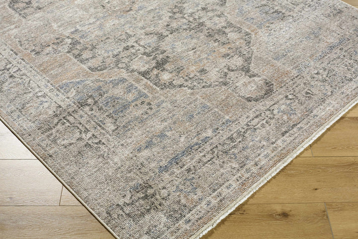 Tavon Traditional Style Beige And Gray Area Rug - The Rug Decor