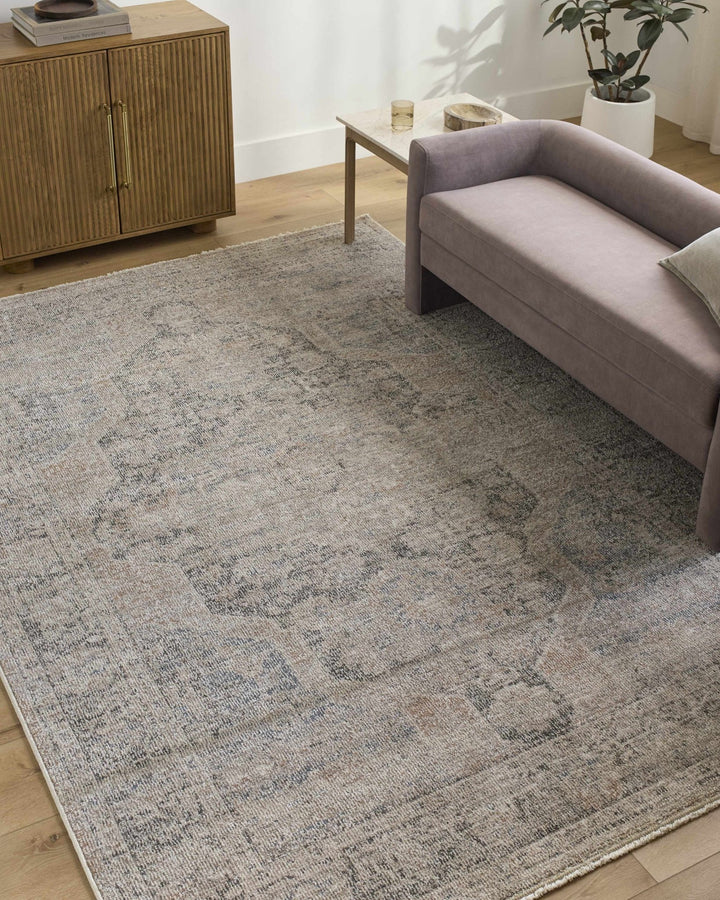 Tavon Traditional Style Beige And Gray Area Rug - The Rug Decor
