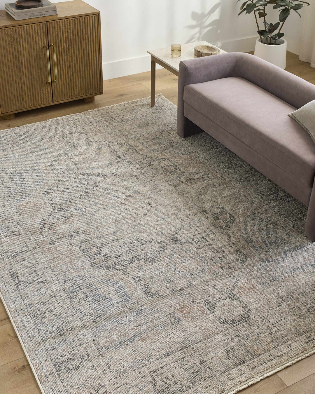 Tavon Traditional Style Beige And Gray Area Rug - The Rug Decor