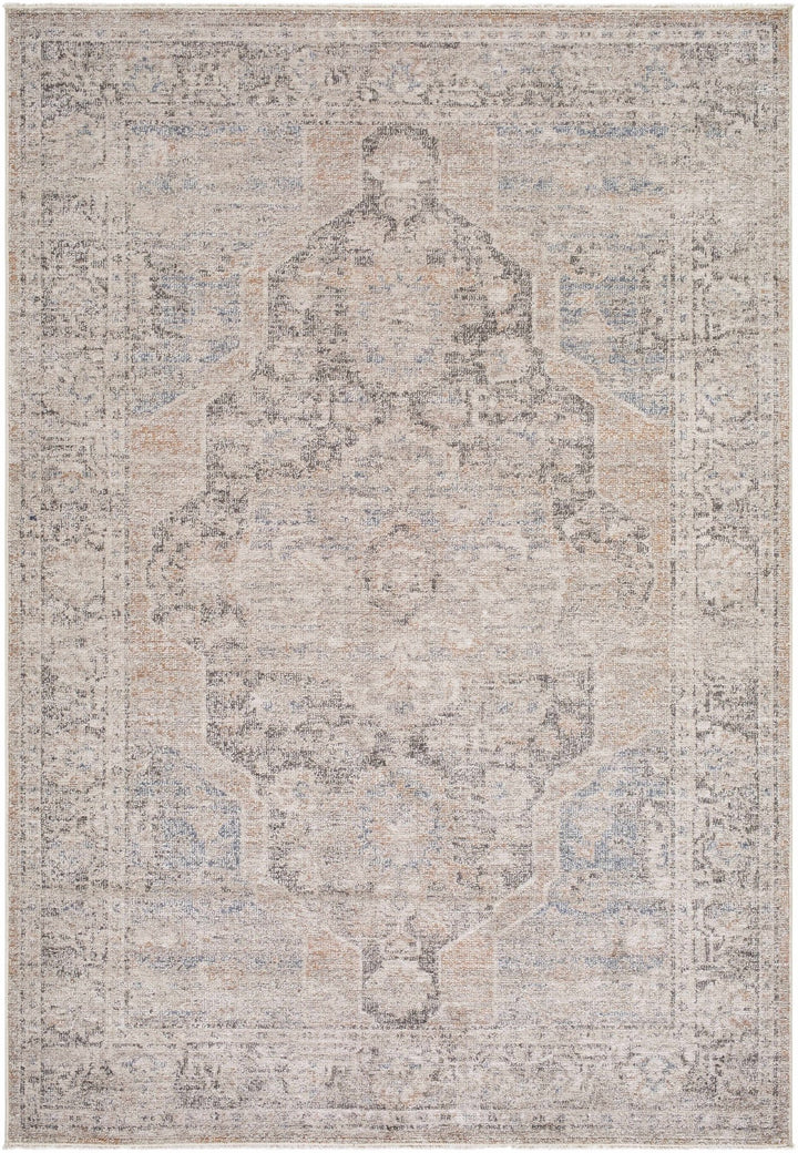 Tavon Traditional Style Beige And Gray Area Rug - The Rug Decor