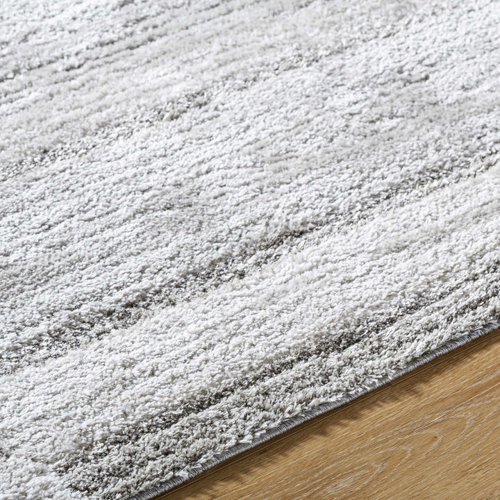 Tayla Bohemian Transitional Design Silver Shag Rug - The Rug Decor