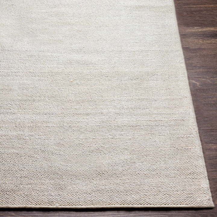 Tecoma Ivory Modern Style Hand Woven Area Rug